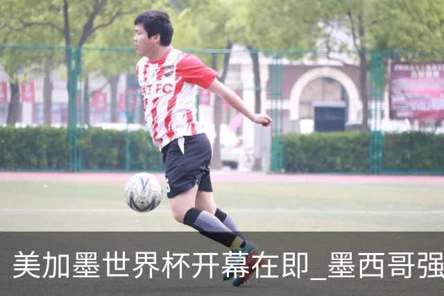 美加墨世界杯开幕在即 墨西哥强化安保措施